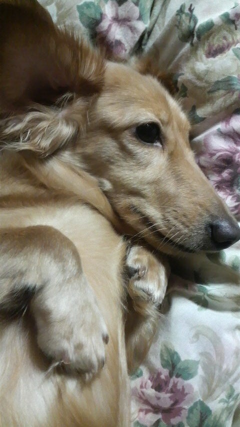 鉄 は 熱 い う ち に 打 て (*゚∀゚)=3ムッハー