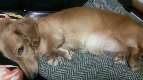 鉄　は　熱　い　う　ち　に　打　て　　　　　　(*ﾟ∀ﾟ)=3ﾑｯﾊｰ