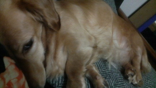 鉄　は　熱　い　う　ち　に　打　て　　　　　　(*ﾟ∀ﾟ)=3ﾑｯﾊｰ