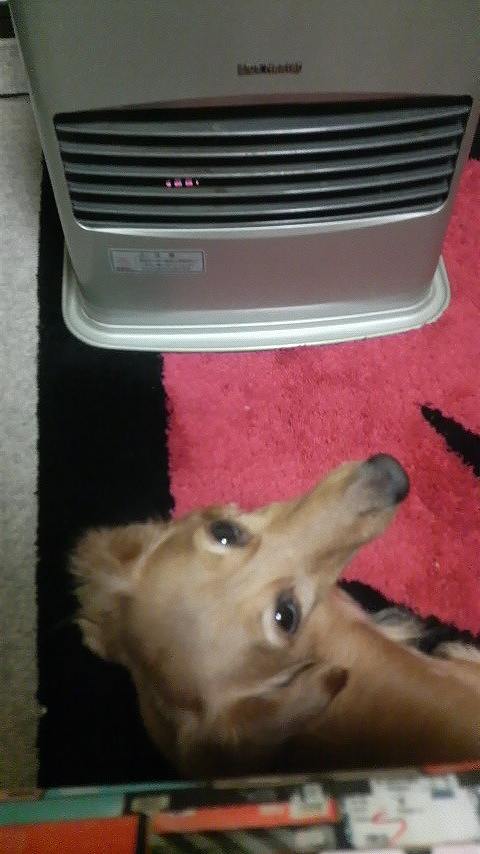 鉄　は　熱　い　う　ち　に　打　て　　　　　　(*ﾟ∀ﾟ)=3ﾑｯﾊｰ