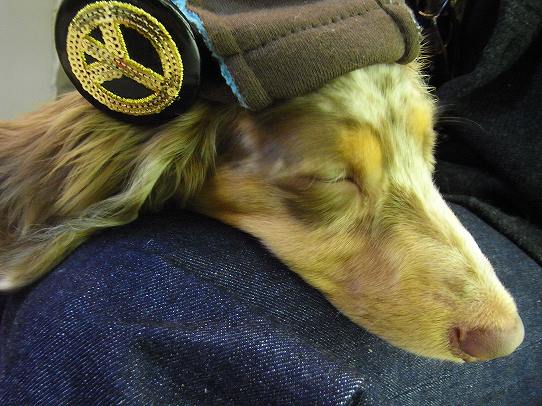 鉄 は 熱 い う ち に 打 て (*゚∀゚)=3ムッハー