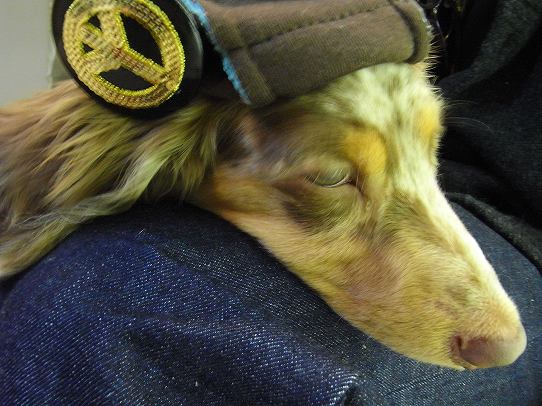 鉄 は 熱 い う ち に 打 て (*゚∀゚)=3ムッハー