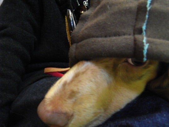 鉄 は 熱 い う ち に 打 て (*゚∀゚)=3ムッハー