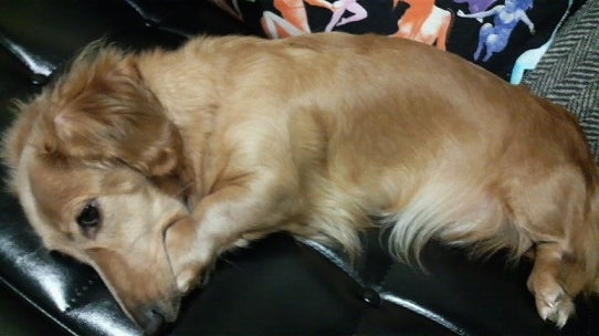 鉄　は　熱　い　う　ち　に　打　て　　　　　　(*ﾟ∀ﾟ)=3ﾑｯﾊｰ