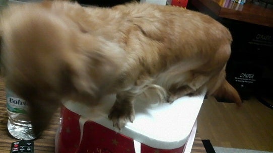 鉄　は　熱　い　う　ち　に　打　て　　　　　　(*ﾟ∀ﾟ)=3ﾑｯﾊｰ