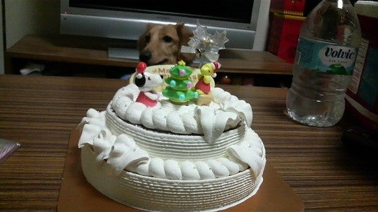 鉄　は　熱　い　う　ち　に　打　て　　　　　　(*ﾟ∀ﾟ)=3ﾑｯﾊｰ