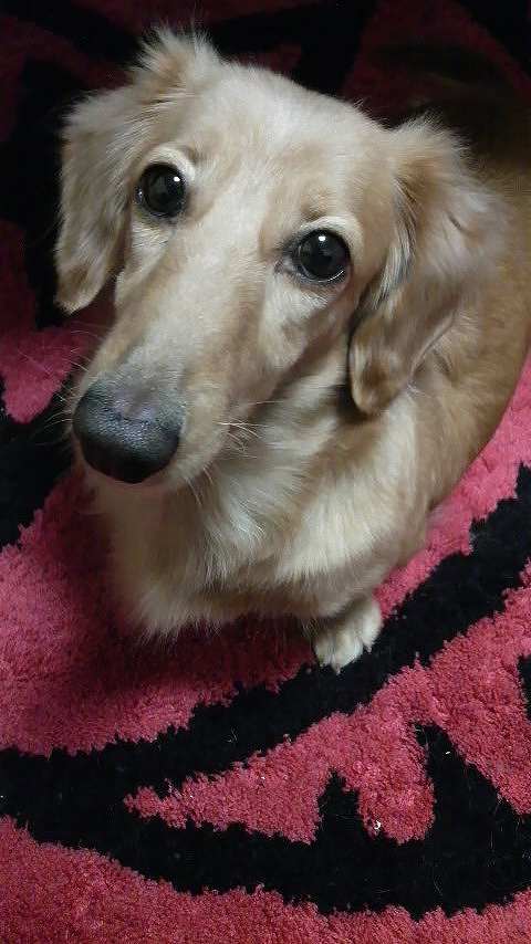 鉄　は　熱　い　う　ち　に　打　て　　　　　　(*ﾟ∀ﾟ)=3ﾑｯﾊｰ