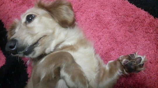 鉄　は　熱　い　う　ち　に　打　て　　　　　　(*ﾟ∀ﾟ)=3ﾑｯﾊｰ