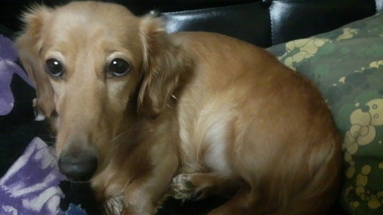 鉄　は　熱　い　う　ち　に　打　て　　　　　　(*ﾟ∀ﾟ)=3ﾑｯﾊｰ