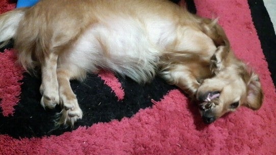 鉄　は　熱　い　う　ち　に　打　て　　　　　　(*ﾟ∀ﾟ)=3ﾑｯﾊｰ