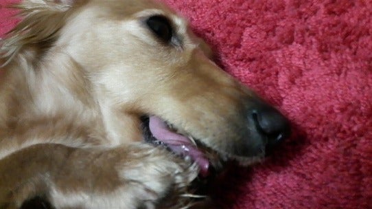 鉄　は　熱　い　う　ち　に　打　て　　　　　　(*ﾟ∀ﾟ)=3ﾑｯﾊｰ