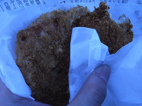 鉄　は　熱　い　う　ち　に　打　て　　　　　　(*ﾟ∀ﾟ)=3ﾑｯﾊｰ