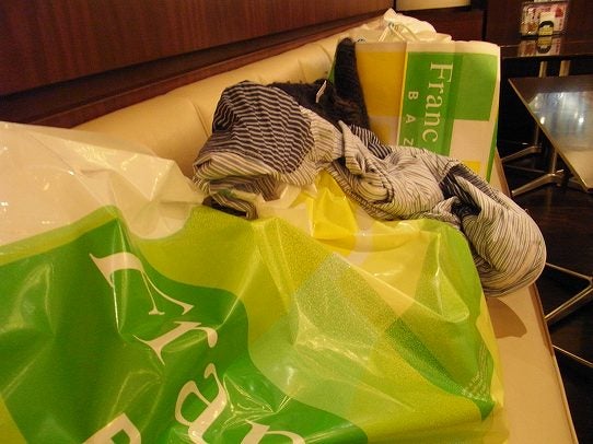 鉄　は　熱　い　う　ち　に　打　て　　　　　　(*ﾟ∀ﾟ)=3ﾑｯﾊｰ