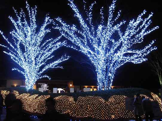 鉄　は　熱　い　う　ち　に　打　て　　　　　　(*ﾟ∀ﾟ)=3ﾑｯﾊｰ