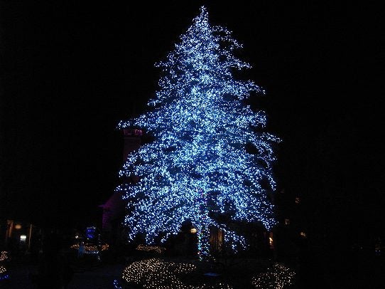 鉄　は　熱　い　う　ち　に　打　て　　　　　　(*ﾟ∀ﾟ)=3ﾑｯﾊｰ