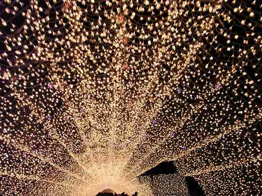 鉄　は　熱　い　う　ち　に　打　て　　　　　　(*ﾟ∀ﾟ)=3ﾑｯﾊｰ