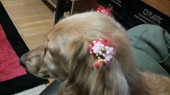 鉄 は 熱 い う ち に 打 て (*゚∀゚)=3ムッハー