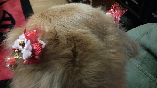 鉄 は 熱 い う ち に 打 て (*゚∀゚)=3ムッハー