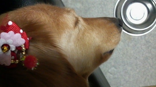 鉄 は 熱 い う ち に 打 て (*゚∀゚)=3ムッハー