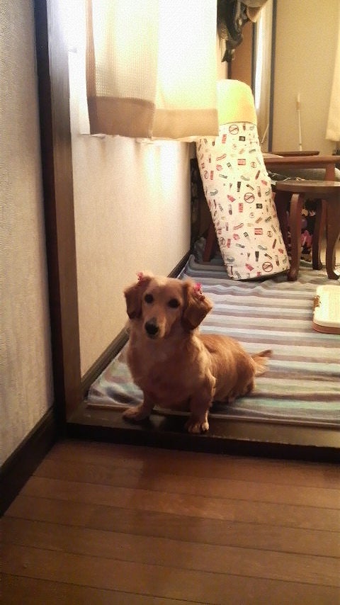 鉄　は　熱　い　う　ち　に　打　て　　　　　　(*ﾟ∀ﾟ)=3ﾑｯﾊｰ