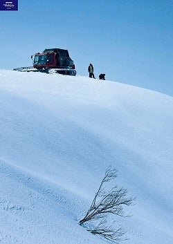 鉄　は　熱　い　う　ち　に　打　て　　　　(*ﾟ∀ﾟ)=3ﾑｯﾊｰ