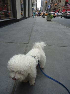 鉄　は　熱　い　う　ち　に　打　て　　　　(*ﾟ∀ﾟ)=3ﾑｯﾊｰ