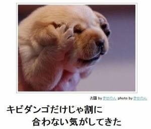 鉄　は　熱　い　う　ち　に　打　て　　　　(*ﾟ∀ﾟ)=3ﾑｯﾊｰ