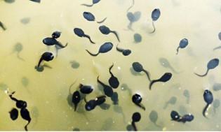 鉄　は　熱　い　う　ち　に　打　て　　　　(*ﾟ∀ﾟ)=3ﾑｯﾊｰ