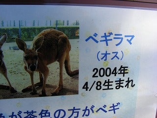 鉄　は　熱　い　う　ち　に　打　て　　　　　　(*ﾟ∀ﾟ)=3ﾑｯﾊｰ