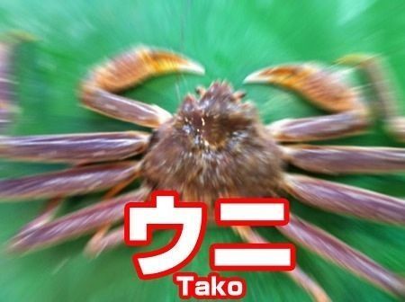 鉄　は　熱　い　う　ち　に　打　て　　　　(*ﾟ∀ﾟ)=3ﾑｯﾊｰ