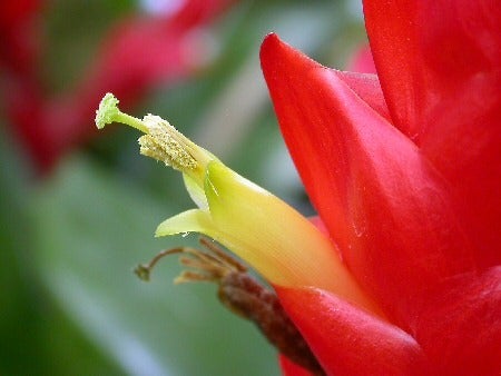 鉄　は　熱　い　う　ち　に　打　て　　　　　　(*ﾟ∀ﾟ)=3ﾑｯﾊｰ