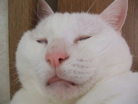 鉄　は　熱　い　う　ち　に　打　て　　　　(*ﾟ∀ﾟ)=3ﾑｯﾊｰ