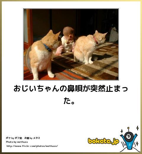 鉄　は　熱　い　う　ち　に　打　て　　　　(*ﾟ∀ﾟ)=3ﾑｯﾊｰ