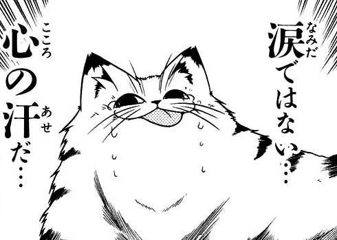 鉄　は　熱　い　う　ち　に　打　て　　　　(*ﾟ∀ﾟ)=3ﾑｯﾊｰ