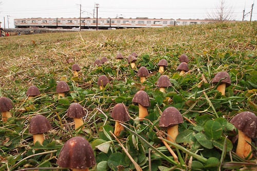 鉄　は　熱　い　う　ち　に　打　て　　　　(*ﾟ∀ﾟ)=3ﾑｯﾊｰ