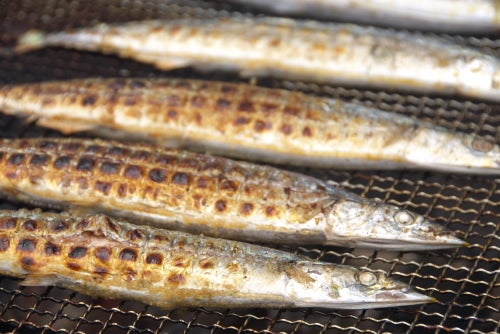 鉄　は　熱　い　う　ち　に　打　て　　　　(*ﾟ∀ﾟ)=3ﾑｯﾊｰ