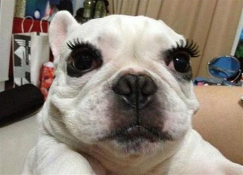 鉄　は　熱　い　う　ち　に　打　て　　　　(*ﾟ∀ﾟ)=3ﾑｯﾊｰ