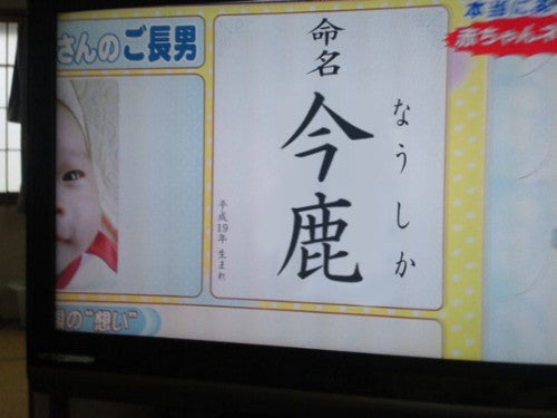 鉄　は　熱　い　う　ち　に　打　て　　　　(*ﾟ∀ﾟ)=3ﾑｯﾊｰ