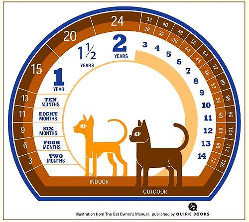 鉄　は　熱　い　う　ち　に　打　て　　　　　　(*ﾟ∀ﾟ)=3ﾑｯﾊｰ