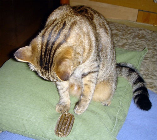 鉄　は　熱　い　う　ち　に　打　て　　　　(*ﾟ∀ﾟ)=3ﾑｯﾊｰ