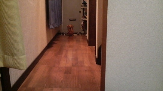 鉄　は　熱　い　う　ち　に　打　て　　　　　　(*ﾟ∀ﾟ)=3ﾑｯﾊｰ