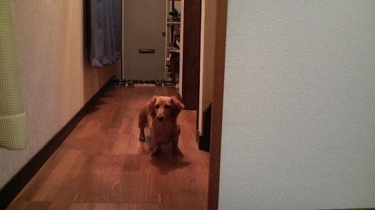 鉄　は　熱　い　う　ち　に　打　て　　　　　　(*ﾟ∀ﾟ)=3ﾑｯﾊｰ