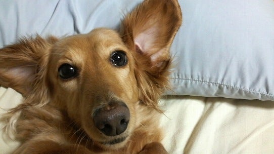 鉄　は　熱　い　う　ち　に　打　て　　　　　　(*ﾟ∀ﾟ)=3ﾑｯﾊｰ