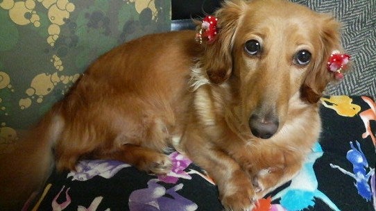 鉄　は　熱　い　う　ち　に　打　て　　　　　　(*ﾟ∀ﾟ)=3ﾑｯﾊｰ