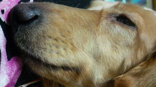 鉄　は　熱　い　う　ち　に　打　て　　　　　　(*ﾟ∀ﾟ)=3ﾑｯﾊｰ