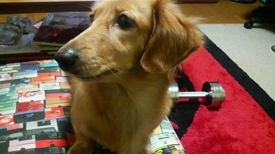 鉄　は　熱　い　う　ち　に　打　て　　　　　　(*ﾟ∀ﾟ)=3ﾑｯﾊｰ