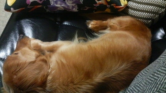 鉄　は　熱　い　う　ち　に　打　て　　　　　　(*ﾟ∀ﾟ)=3ﾑｯﾊｰ