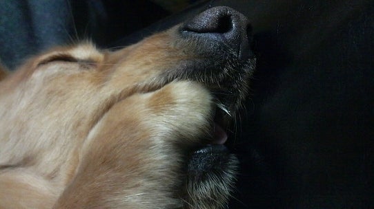 鉄　は　熱　い　う　ち　に　打　て　　　　　　(*ﾟ∀ﾟ)=3ﾑｯﾊｰ