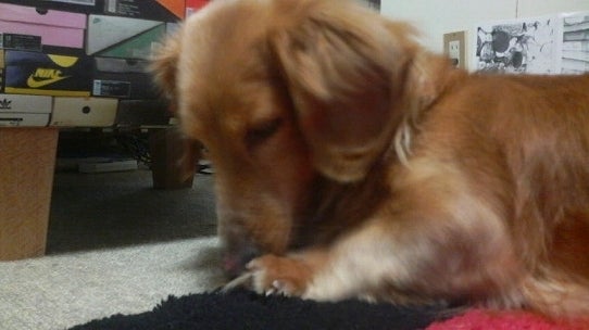 鉄　は　熱　い　う　ち　に　打　て　　　　　　(*ﾟ∀ﾟ)=3ﾑｯﾊｰ