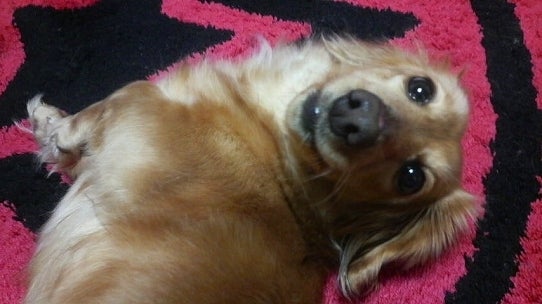 鉄　は　熱　い　う　ち　に　打　て　　　　　　(*ﾟ∀ﾟ)=3ﾑｯﾊｰ